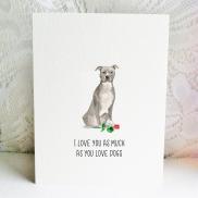 6x6 american staffordshire terrier love