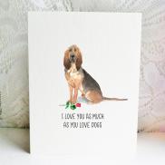 6x6 bloodhound love