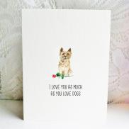 6x6 cairn terrier love