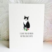 6x6 cat tuxedo love